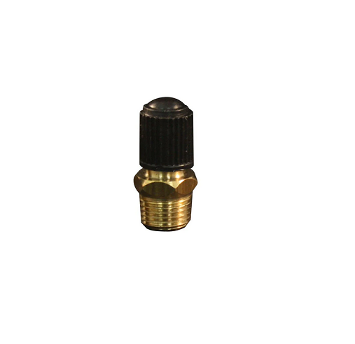 nitrogen valve caps