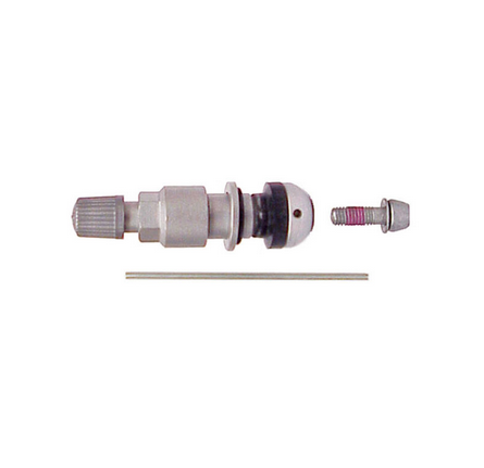 Dill 1099 TPMS BMW Hollow Wheel Valve Stem