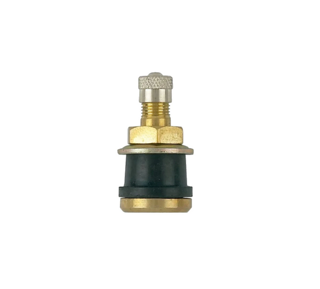 TR 575 Brass Truck Valve 1.13 in. (0.625 in. Valve Hole)